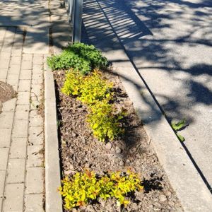 Drobnosti, které dělají naši obec ještě hezčí