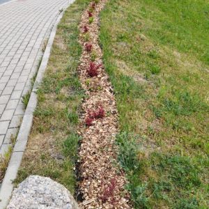 Drobnosti, které dělají naši obec ještě hezčí