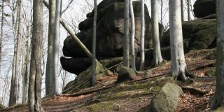 Oldřichov, Skalní hrad a Lysé skály objektivem Petra Kellnera