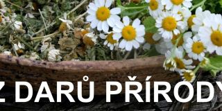 Z darů přírody